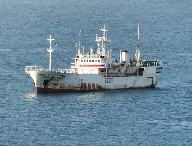 LONG XING 601