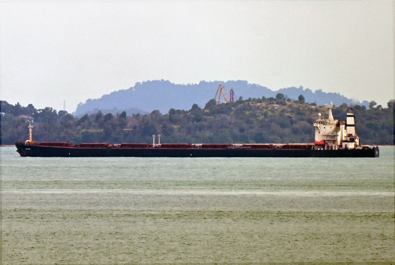 GOLSAR