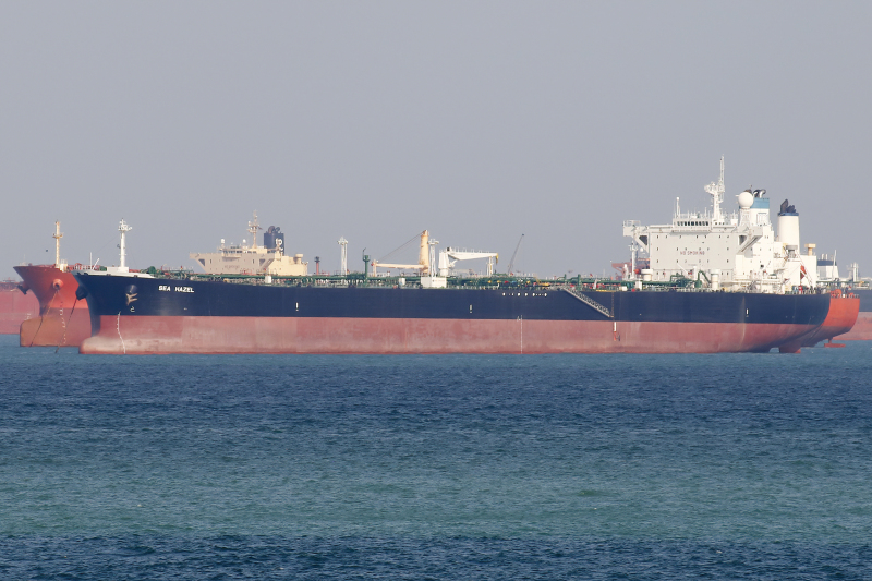 NEREUS SOPHIA