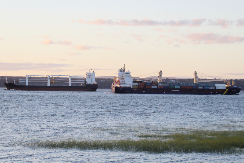 MYS DEZHNEVA