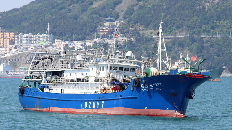FU YUAN YU 8677