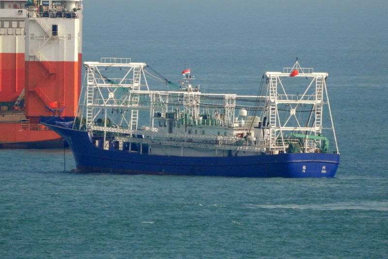 FU YUAN YU 8685