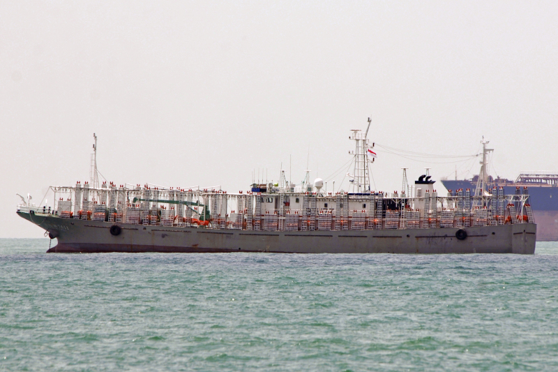 FU YUAN YU 7611