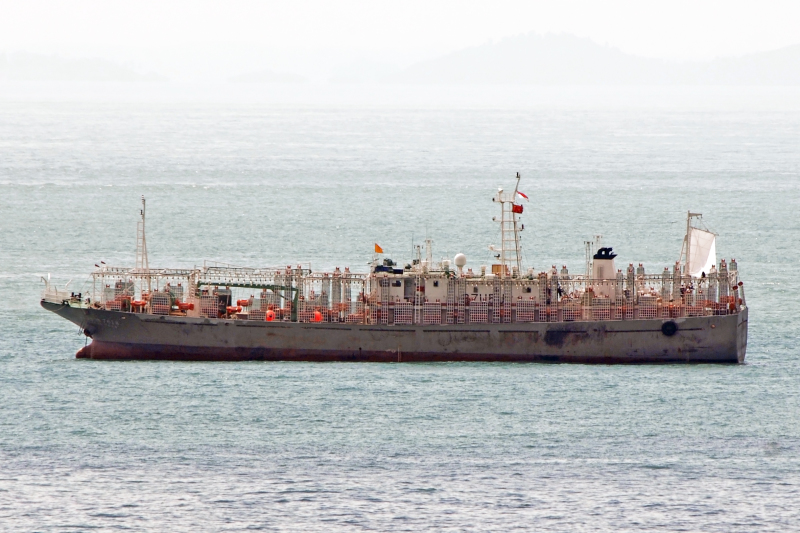 FU YUAN YU 7618
