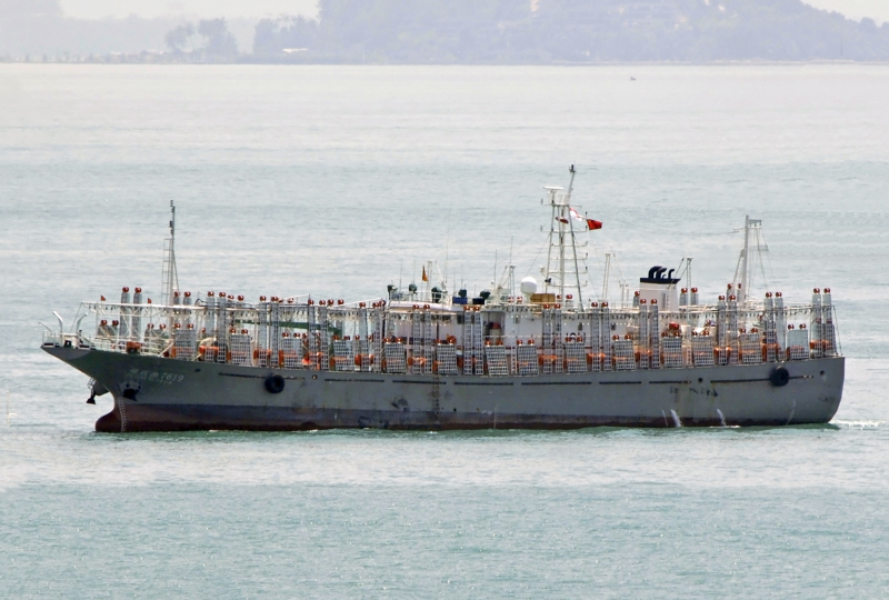 FU YUAN YU 7619